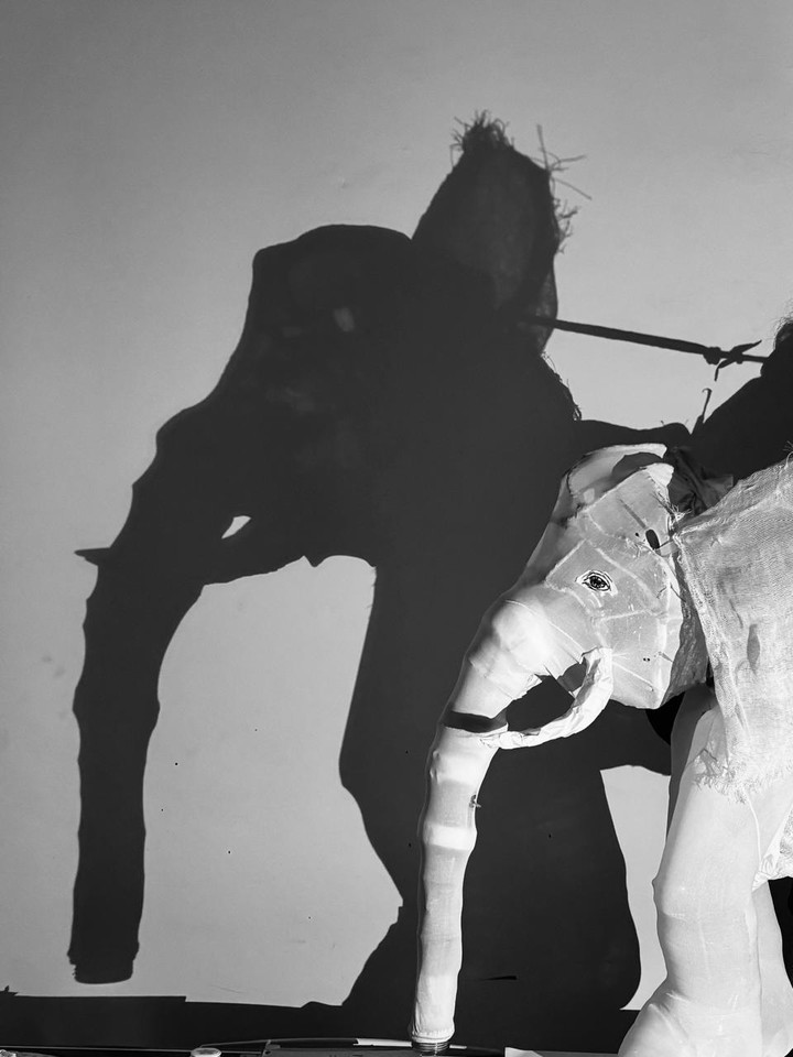 "Mitos, historias de elefantes", una de las obras del festival.