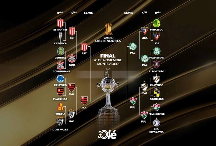 La llave de la Libertadores con las semis definidas.