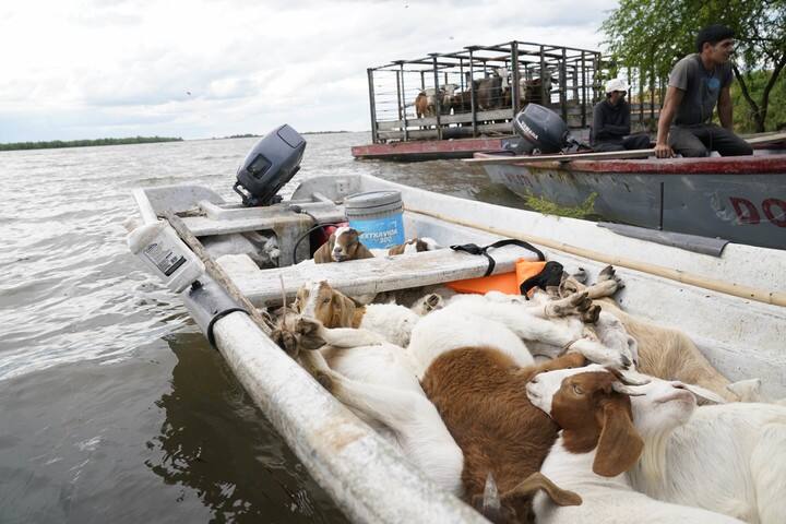 Estiman que la crecida del río irá en aumento en los próximos días. Foto: Fernando de la Orden/enviado especial.